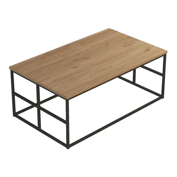 Masuta cafea cu cadru metalic Velendi 100x60x40cm stejar negru [en.casa]