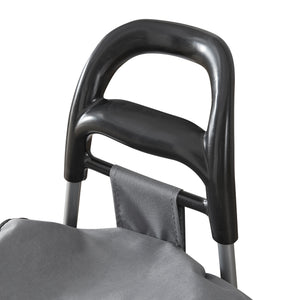 Carucior pliabil cumparaturi Aaby - NEU 95.5x35x29 cm 30 kg gri inchis/negru [en.casa]