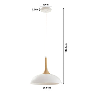 Lampa suspendata Blairgowrie 147 cm1xE27 max 60W alb/culoarea alamei [lux.pro]
