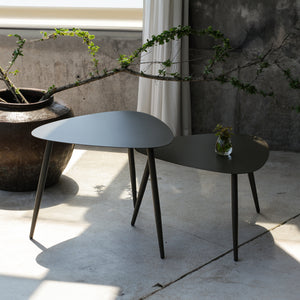 Set 2 masute Aymavilles 57,5x56x45,5 cm otel antracit [casa.pro]