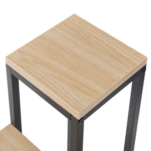 Suport plante cu 4 rafturi inaltimi diferite Ameland 67x34x34 [en.casa]