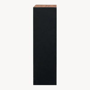 Raft ingust carti Tron 80x30x23 cm [en.casa] 
