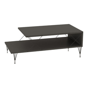 Masuta cafea Asker 100x50x40cm culori diferite [en.casa]