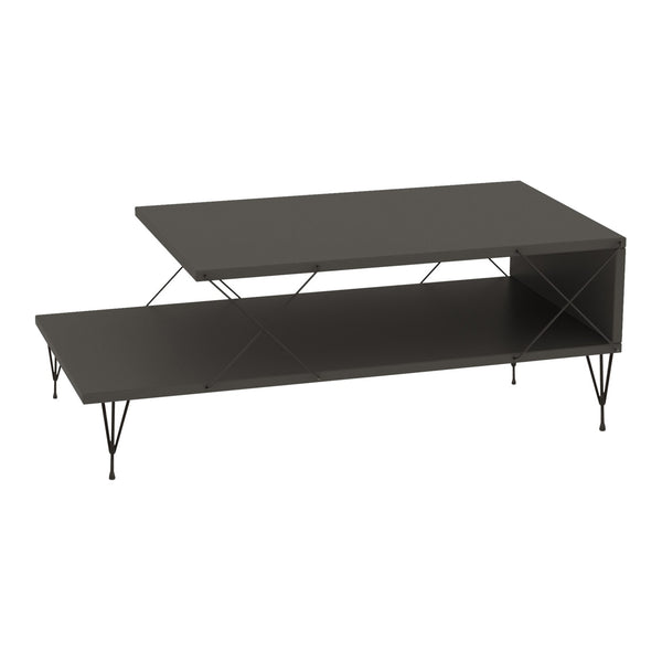 Masuta cafea Asker 100x50x40cm culori diferite [en.casa]