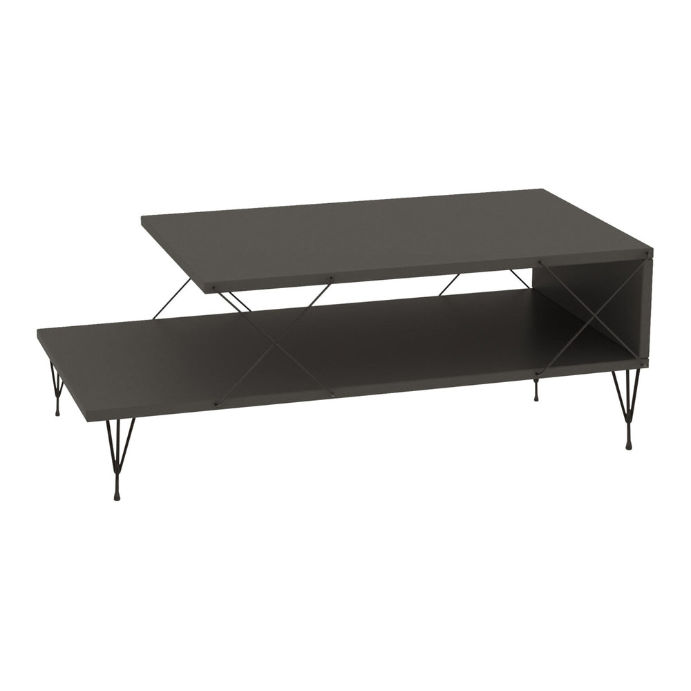 Masuta cafea Asker 100x50x40cm culori diferite [en.casa]