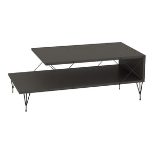 Masuta cafea Asker 100x50x40cm culori diferite [en.casa]