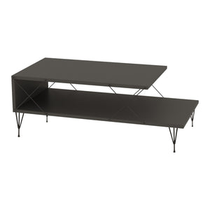 Masuta cafea Asker 100x50x40cm culori diferite [en.casa]