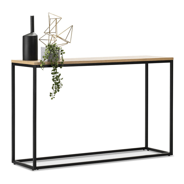 Masă consolă Kittilä 80x100x30cm culori diverse [en.casa]