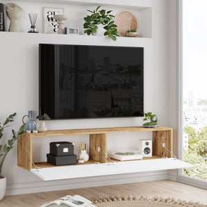 Comoda TV Lapinlahti pal cu 2 usi culori si masuri diferite [en.casa]