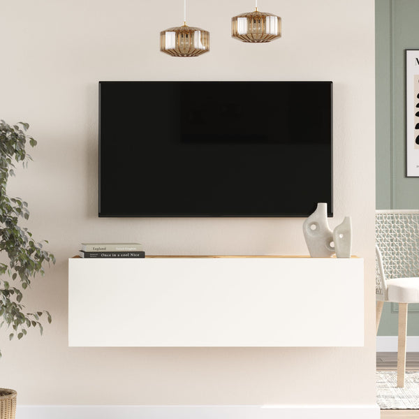 Comoda TV Lapinlahti pal cu 2 usi culori si masuri diferite [en.casa]